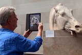 An older man holding an ipad scans a marble horse head which is part of an exhibition in the British Museum