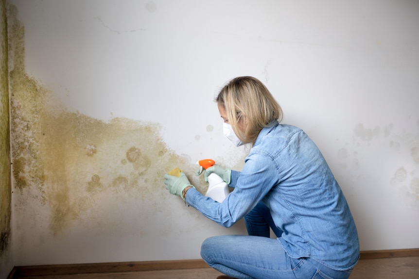A woman wearing gloves and a mask cleans mould off a white wall. She has a spray bottle in her right hand a cloth in her left