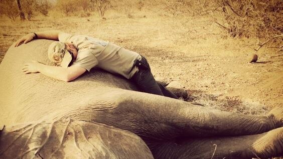Prince Harry supports a stop to poaching in recent Instagram post