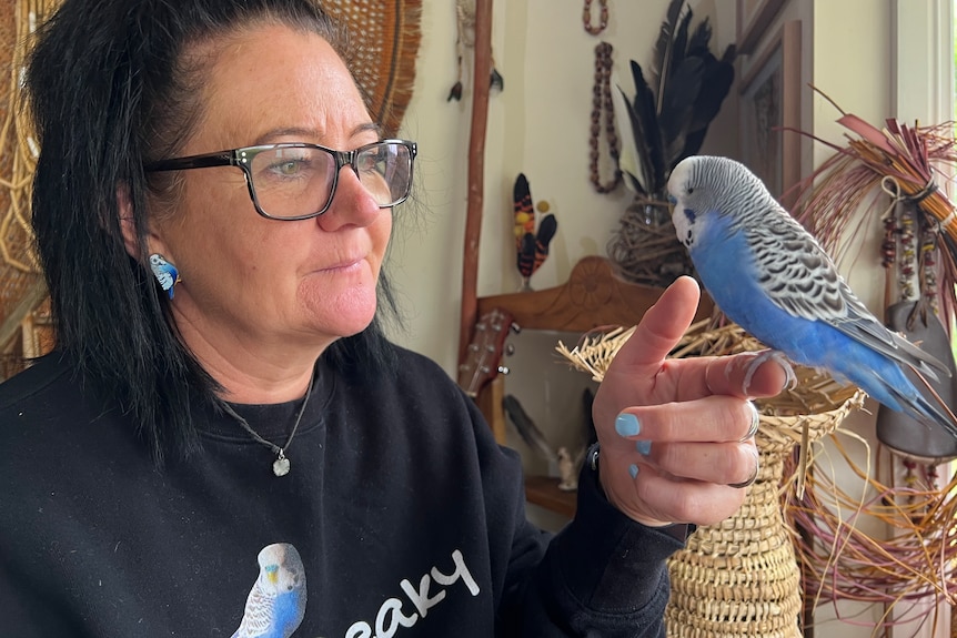 A woman with glasses looks at a budgie sitting on her finger.