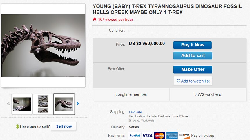 A screenshot of an eBay listing for a young t-rex on sale for $US2.95 million
