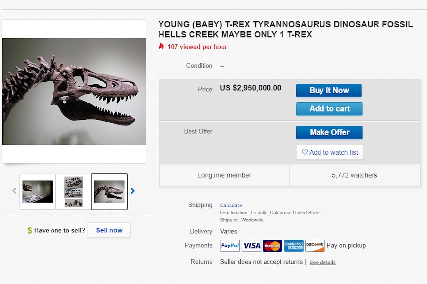 A screenshot of an eBay listing for a young t-rex on sale for $US2.95 million