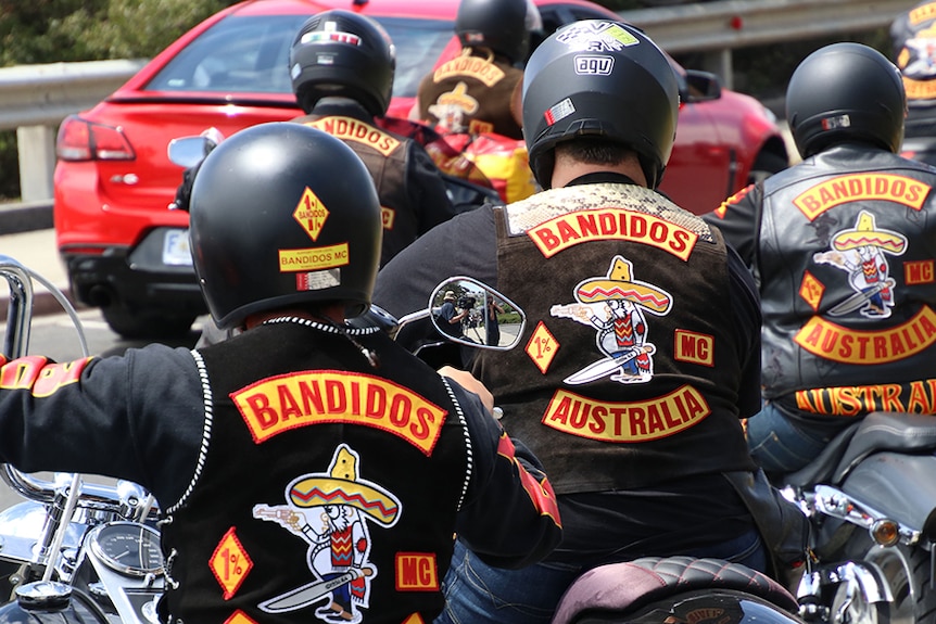 Bandidos gang members on motorcycles seen from behind.
