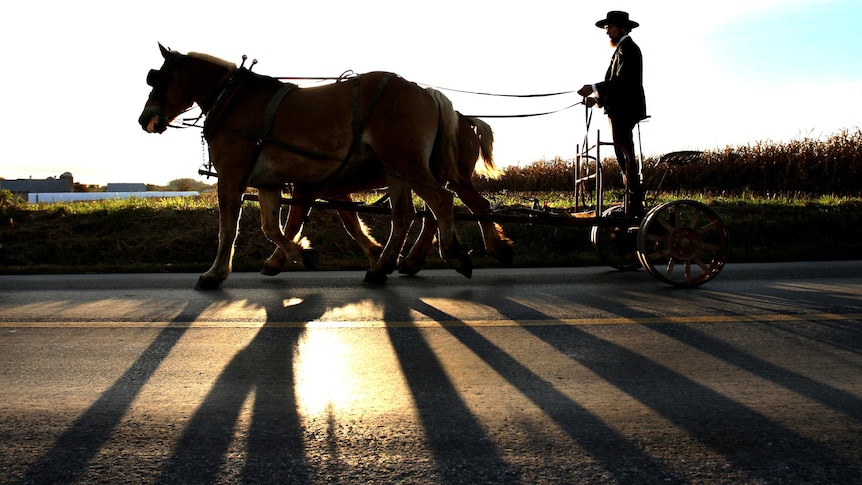 An Amish man rides his cart down a road in Pennsylvania.