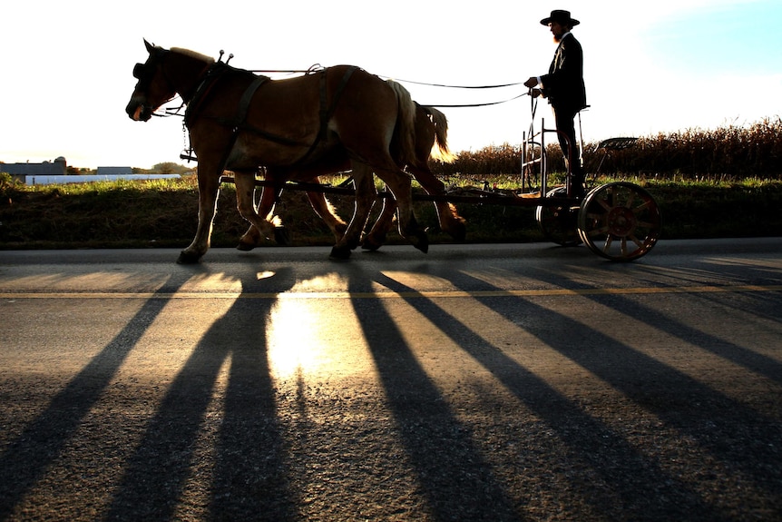 An Amish man rides his cart down a road in Pennsylvania.