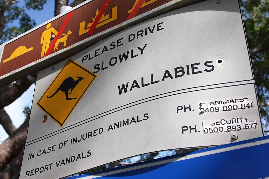 A sign in East Point Reserve bearing the words 'Please Drive Slowly' and a wallaby sign.