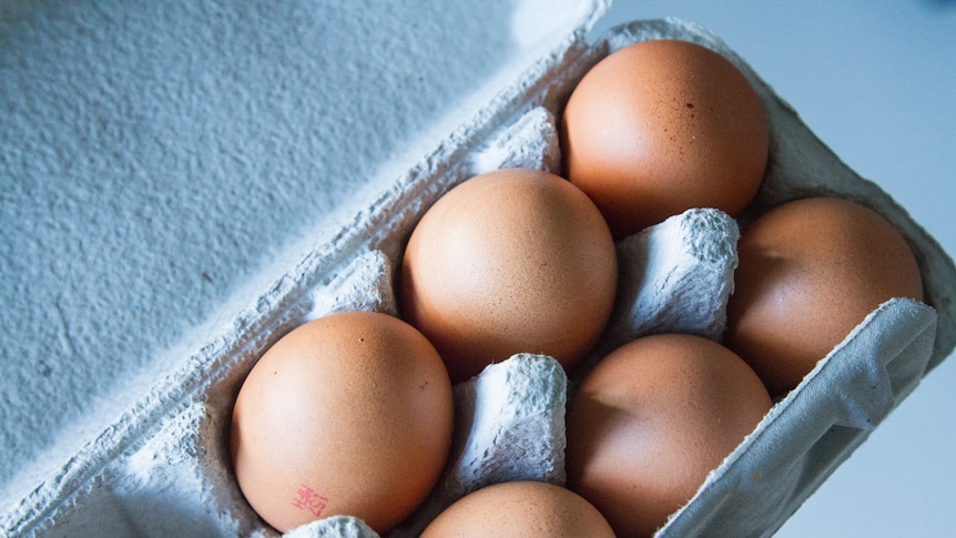 Eggs in an egg carton.