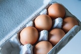 Eggs in an egg carton.