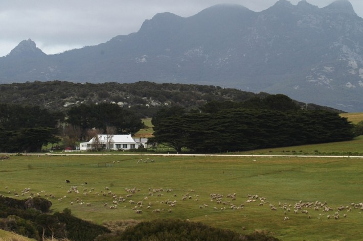 Thule Farm on Flinders Island