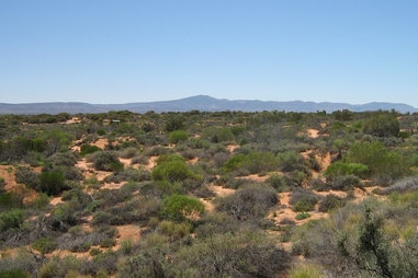 Clear blue skies in the Port Augusta area