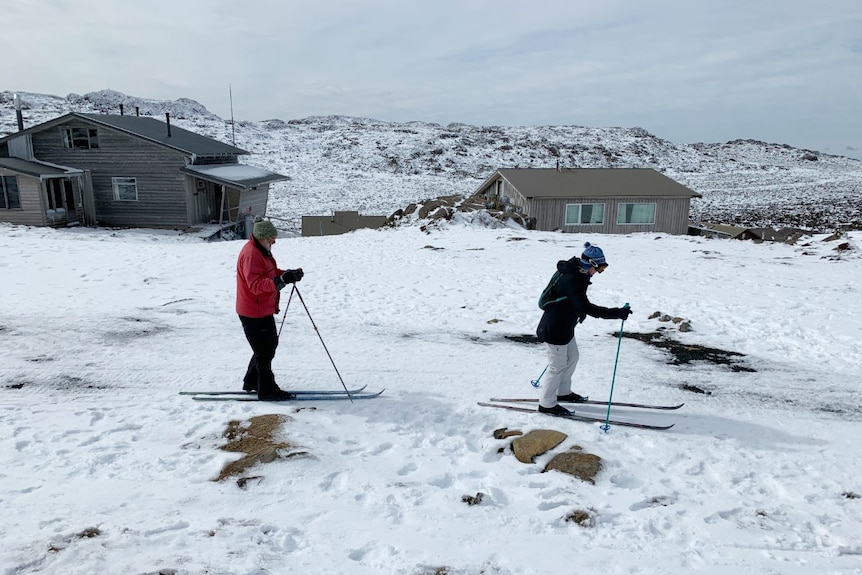 Two people on skis at Ben Lomond