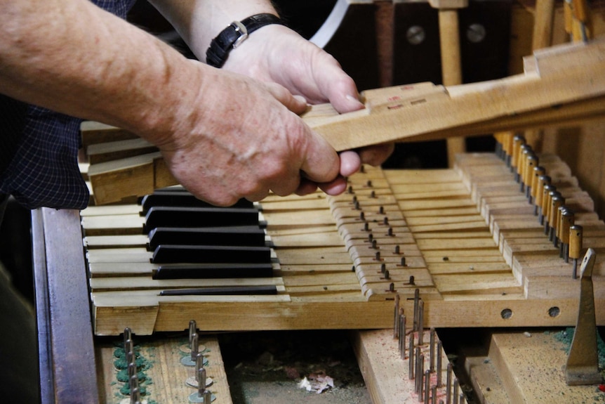 Robert Tucker fixing piano keys at his Ulverstone workshop.