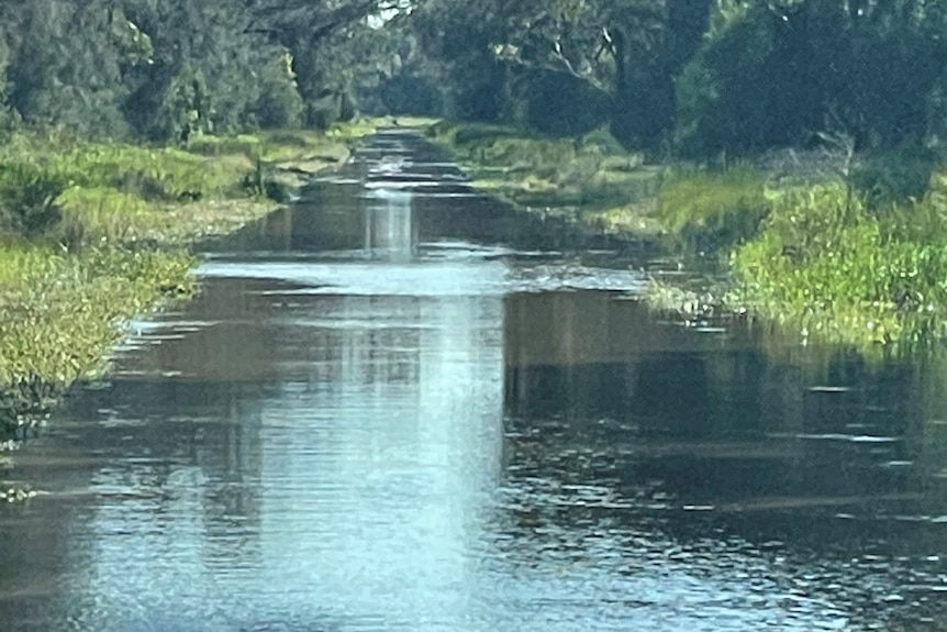 A sealed road covered in floodwater near Narromine.