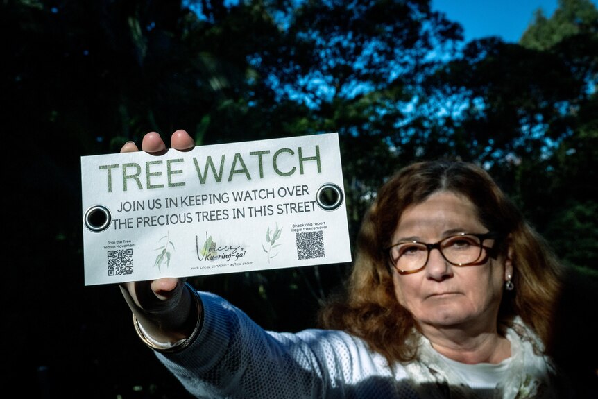 Louise Burfitt Treewatch