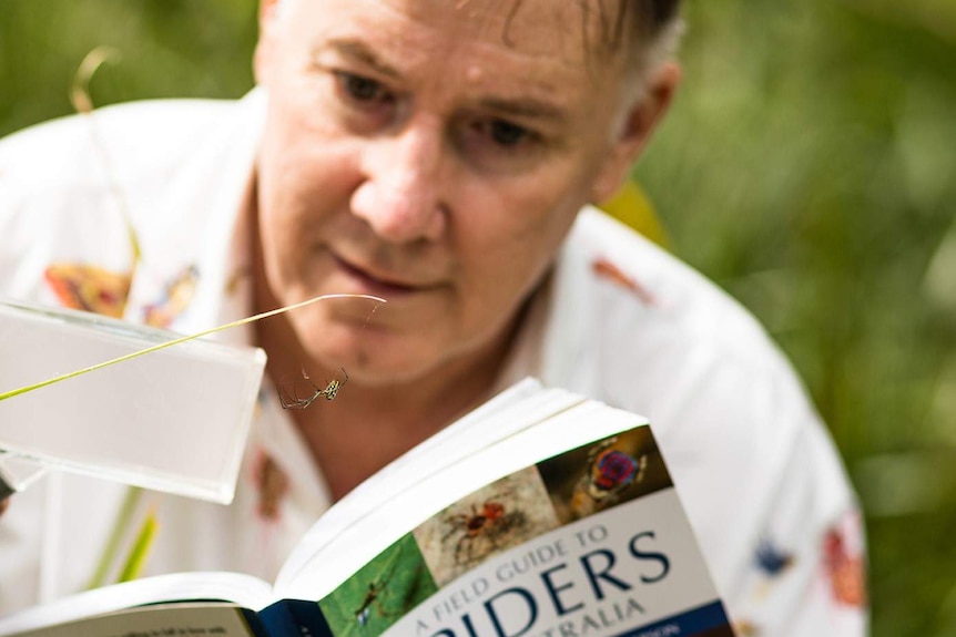 Spider researcher Robert Whyte reading a book.