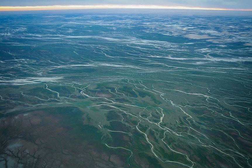 An aerial photograph of the Channel Country floodplains in western Queensland