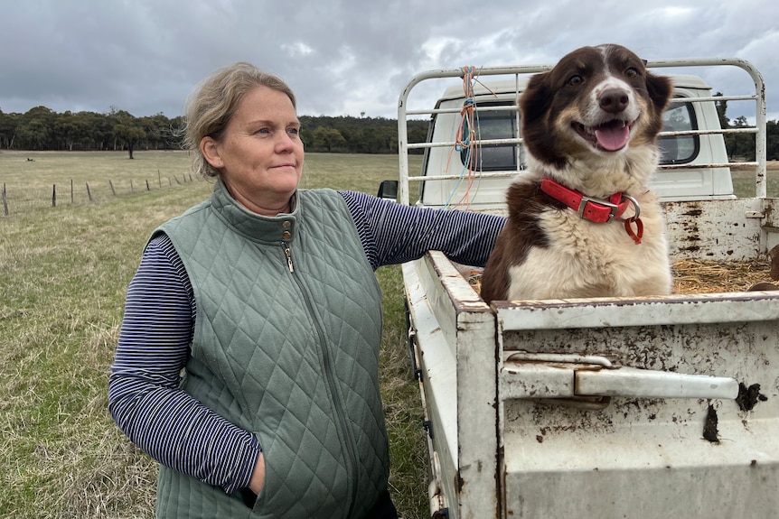 Woman stands next to a white ute, brown boder collie dogs sits in the tray.