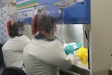 Two scientists working in biohazard protective equipment in a lab.