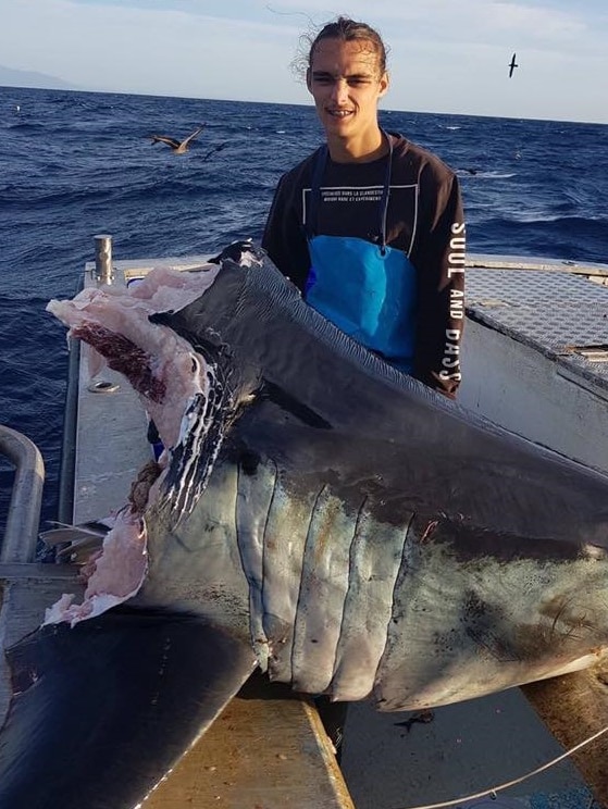 A man holds a shark head on a boat. The shark head has bite chunks taken out of its torso.