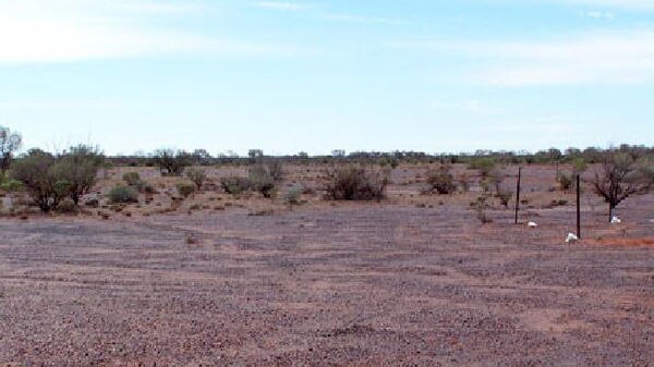 Red soil and low bushes