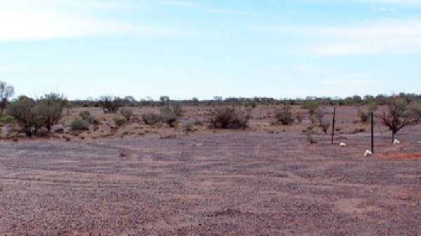 Red soil and low bushes