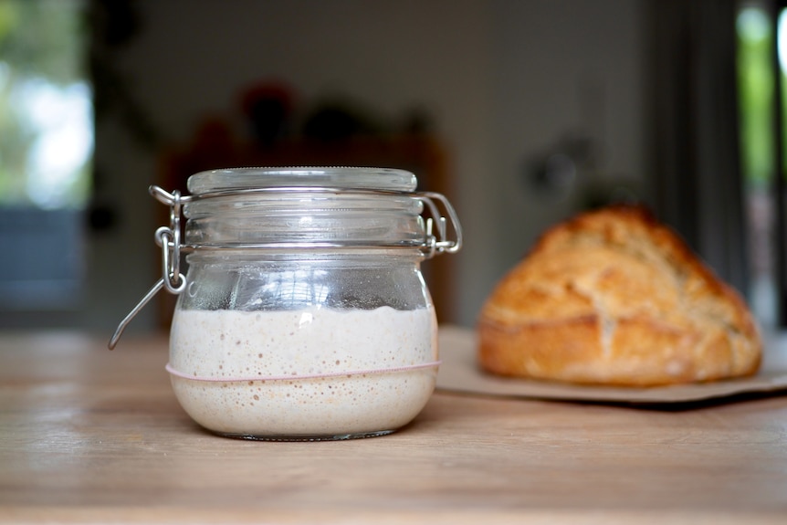 A jar of sourdough starter with a homemade sourdough loaf in the background. The starter goes into sourdough bread dough.