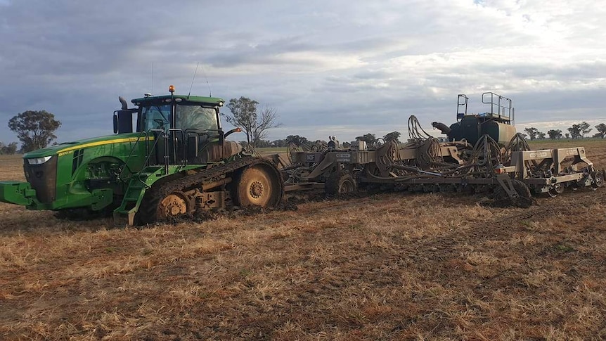 A big green track wheeled tractor with a seeder trailing planting a winter crop.