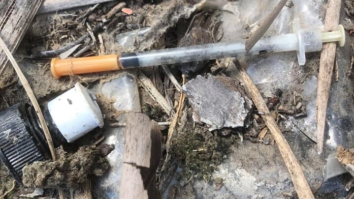 Syringe found in Adelaide wetlands