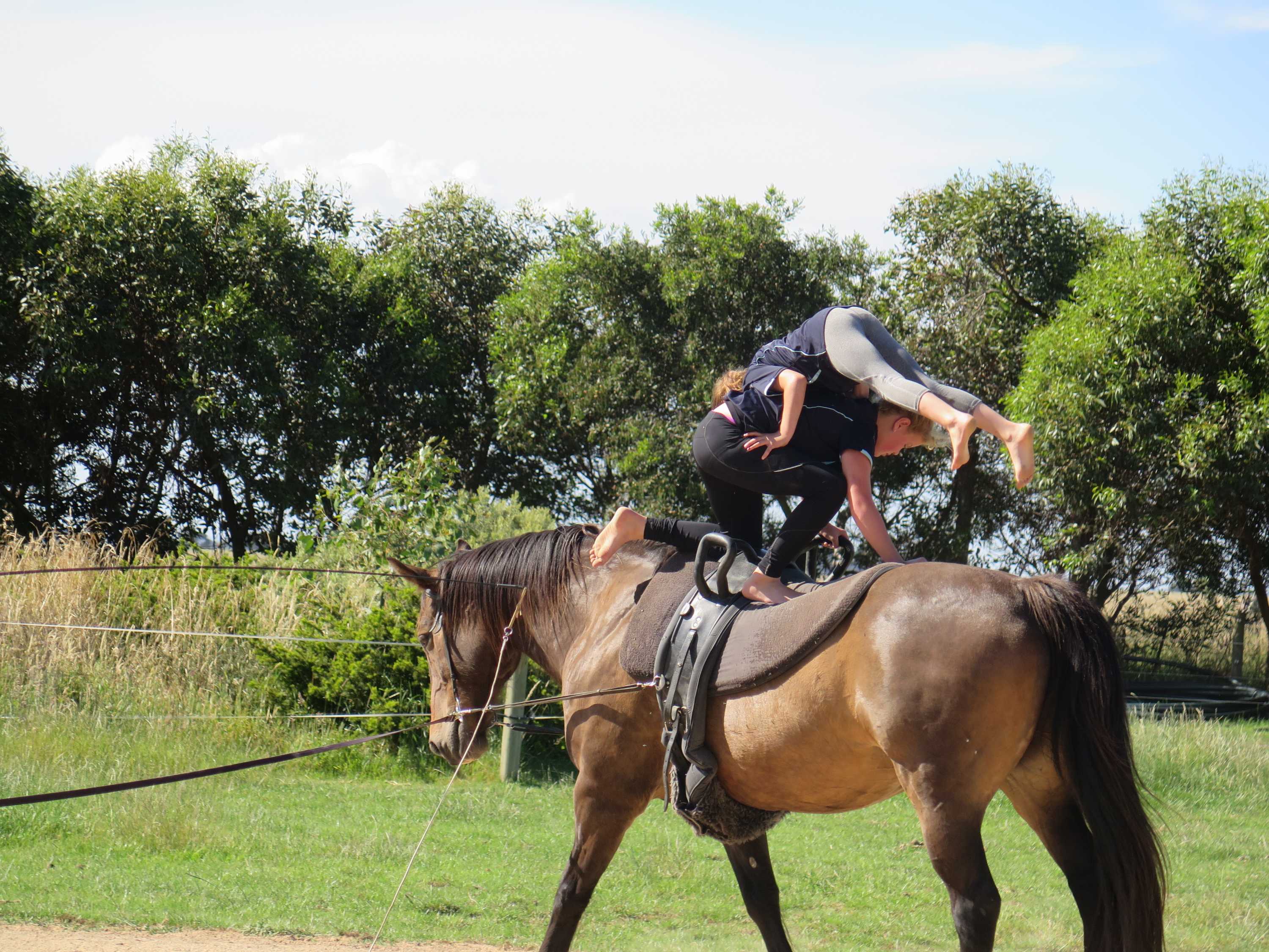 Horse vaulting it's gymnastics on horseback ABC News