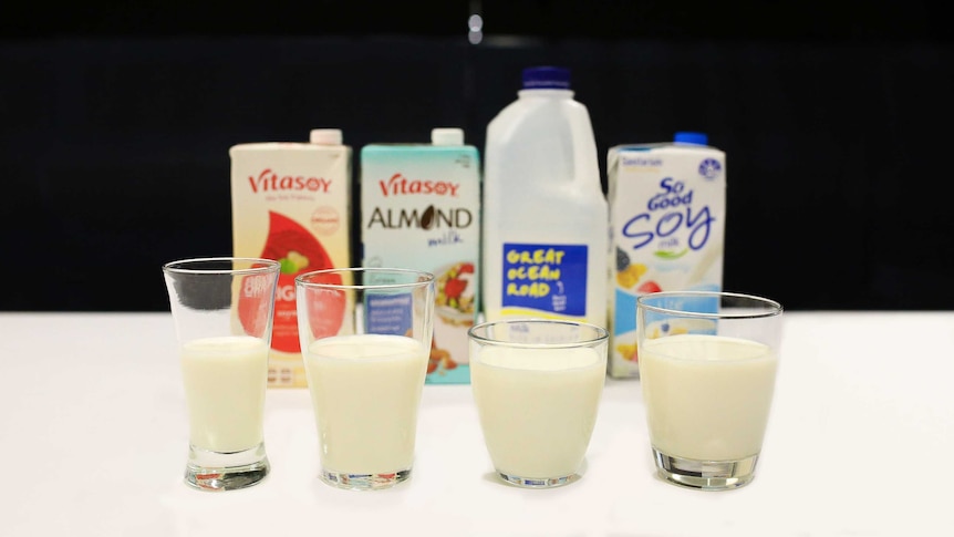 Glasses of cows milk, soy milk and almond milk in front of their containers.