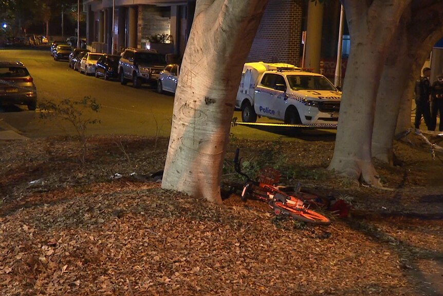 A bicycle lays on the ground near a tree in a street at night time