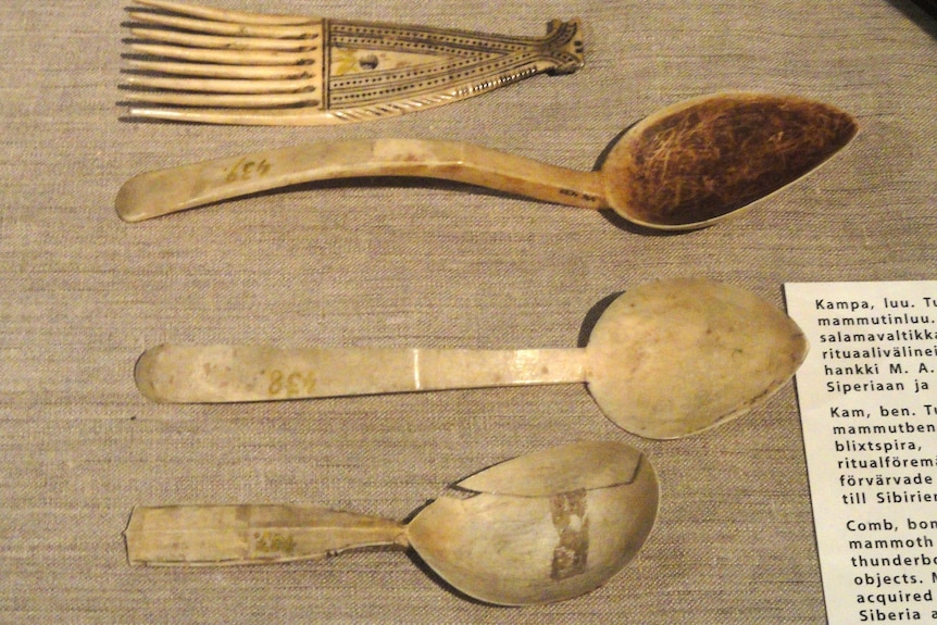 Ancient ivory combs and spoons in museum exhibition