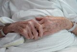 A file photo of an elderly patient's hands with a hospital identification band.