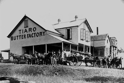 black and white photo of building. Sign reads 'Tiaro Butter Factory' 