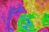 A radar image of the WA coast showing a large pink and purple storm near Perth.