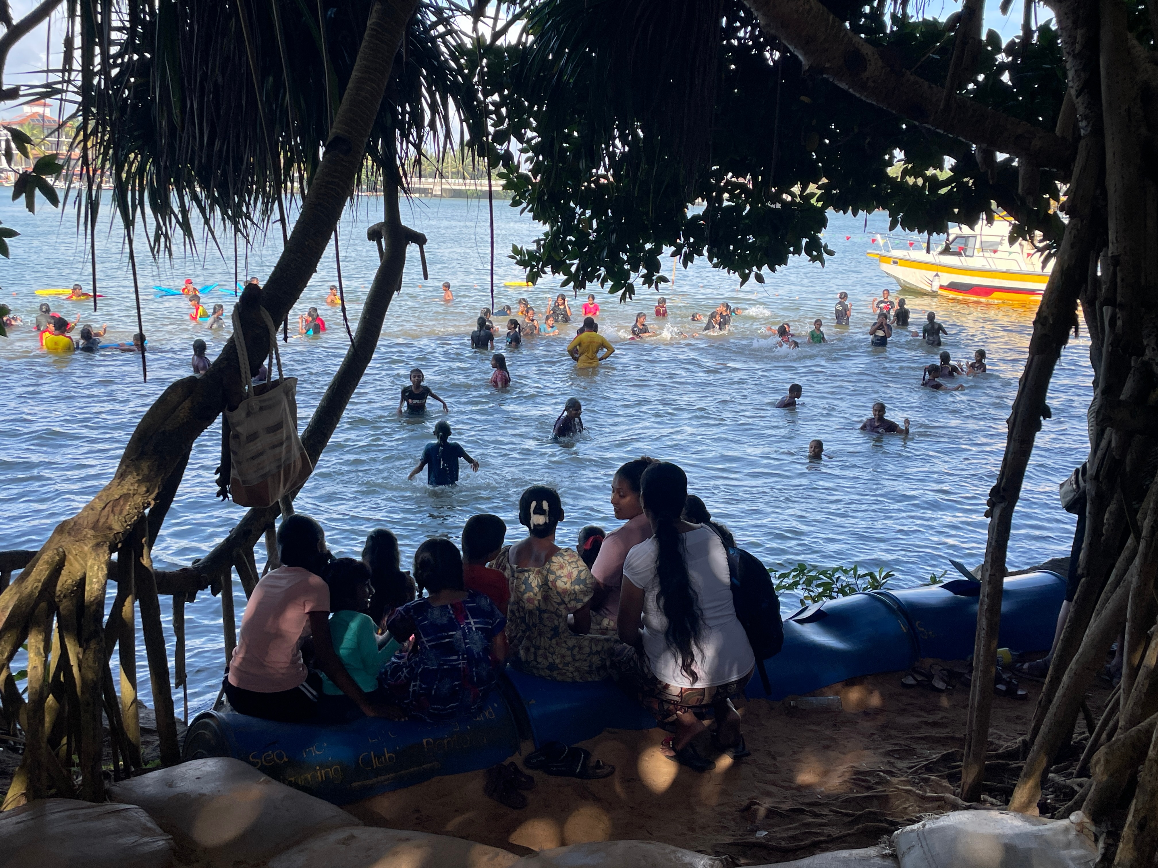A multidão fica à sombra de um mangue.