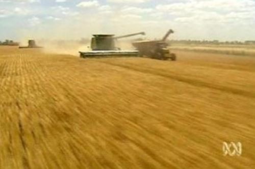 Australia's wheat production revised up to 26.5-million tonnes and Canada a record 37-million tonnes by USDA report.