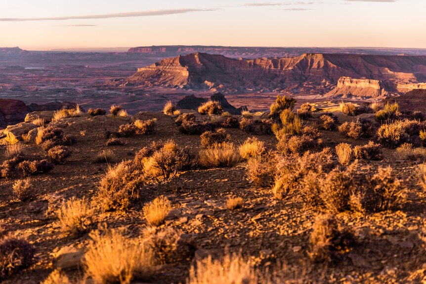 Desert landscape during sunset at Grand Staircase-Escalante national monument.