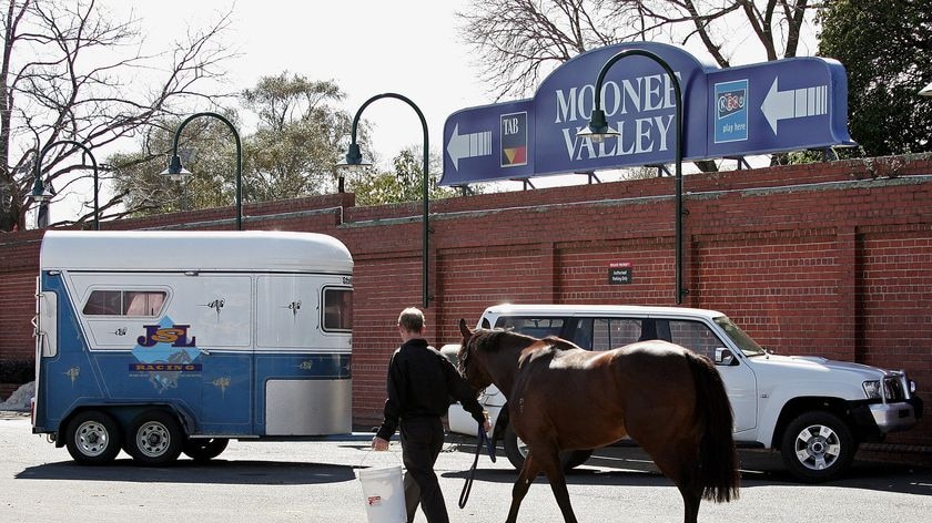 Races cancelled: A horse is led to its float after the Moonee Valley meet was cancelled on Saturday