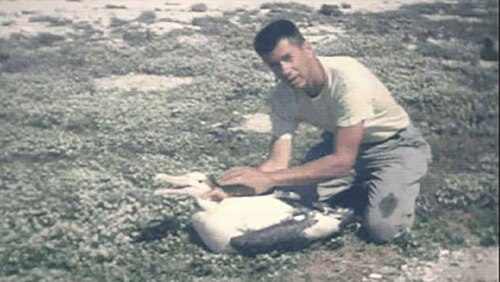 A grainy image of a man holding a Laysan albatross in a grassy area.