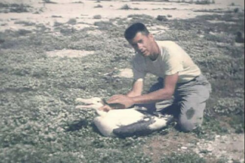 A grainy image of a man holding a Laysan albatross in a grassy area.