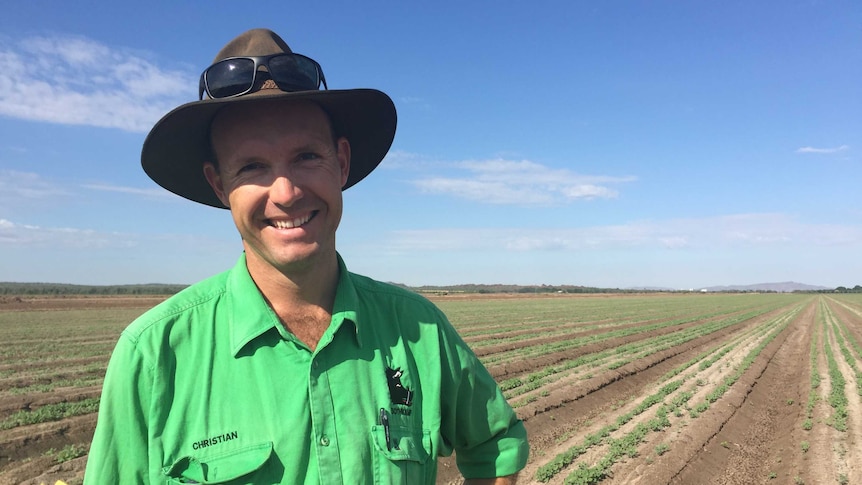 Quinoa farmer