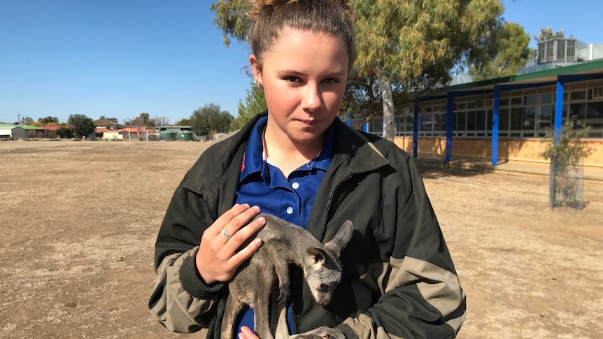 A girl hugs a wallaroo joey.