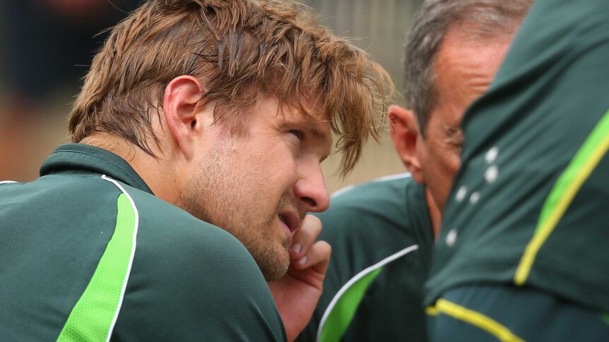 Shane Watson gets checked by Peter Brukner
