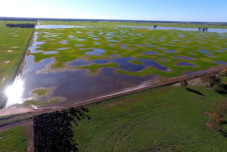 An aerial view of green paddocks covered by big puddles of water.