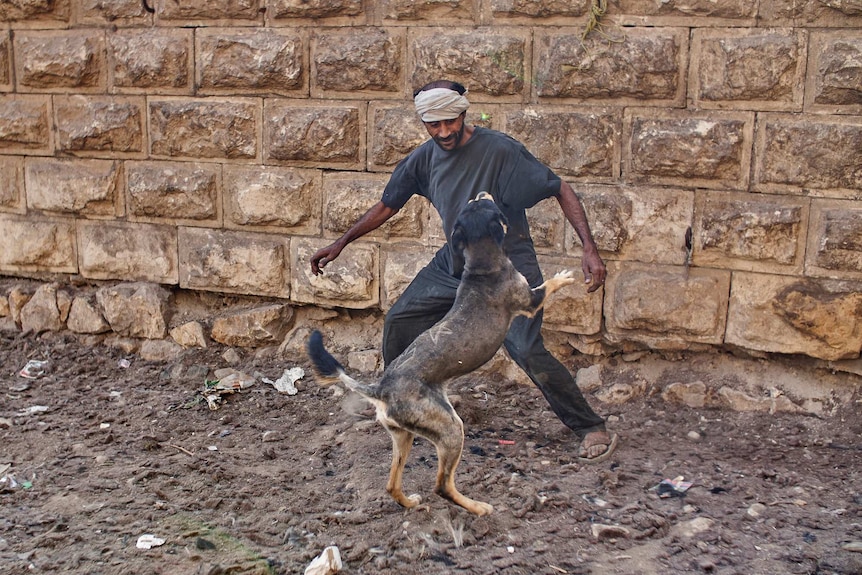 Mohamed plays with a dog