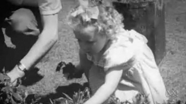 An old black and white photo of a young girl picking flowers beside another adult