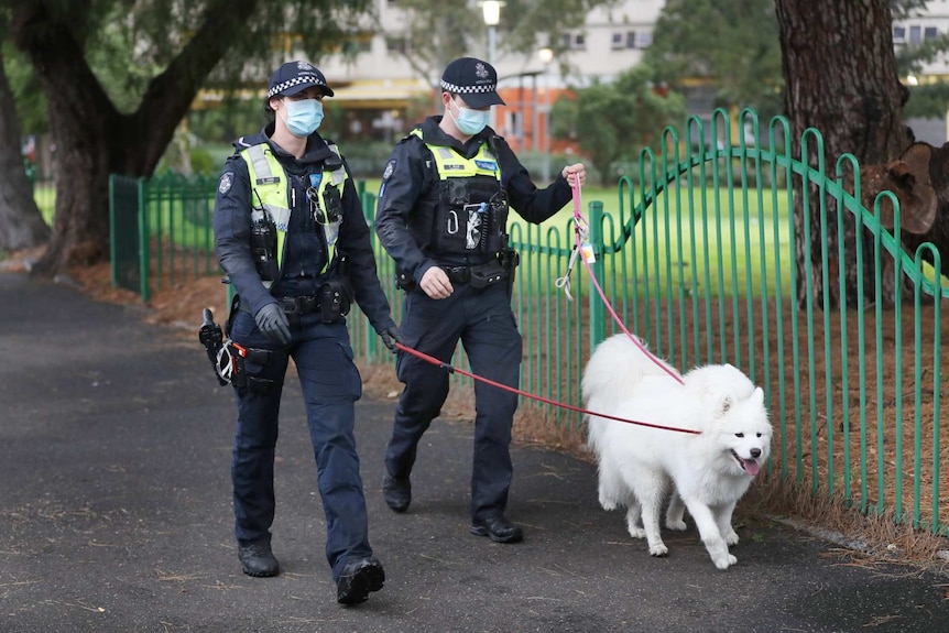Two police officers walk two white, fluffy dogs on leads outside a public housing tower.