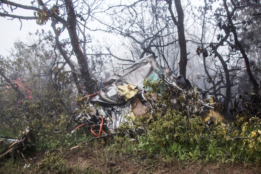 Debris from a wreckage sit on a forested hillside
