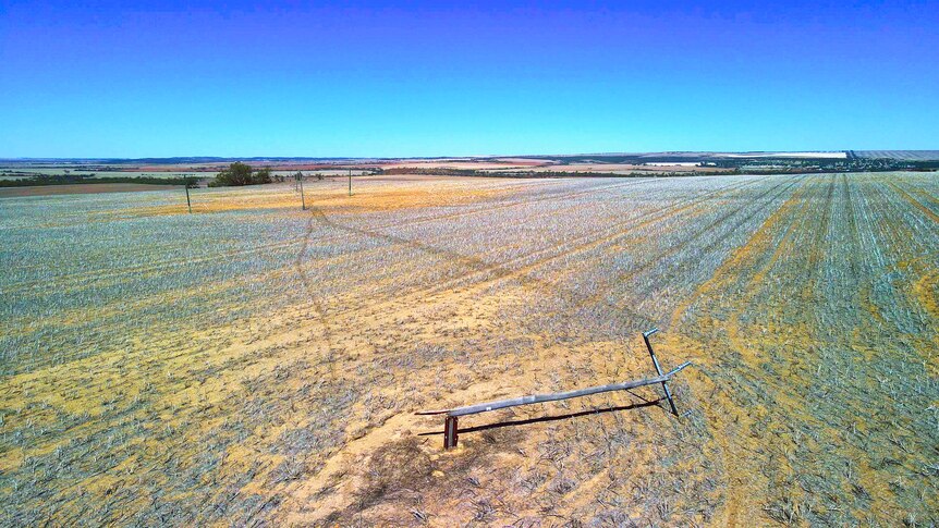 A power pole and line lying in a paddock stretching out towards a clear blue horizon.